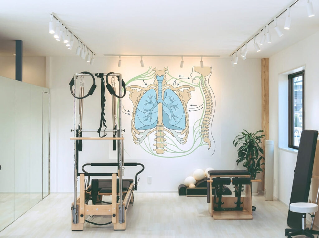 呼吸が肺だけでなく、姿勢や胸郭、神経系など複数の要素によって成り立っていることを示すイラスト