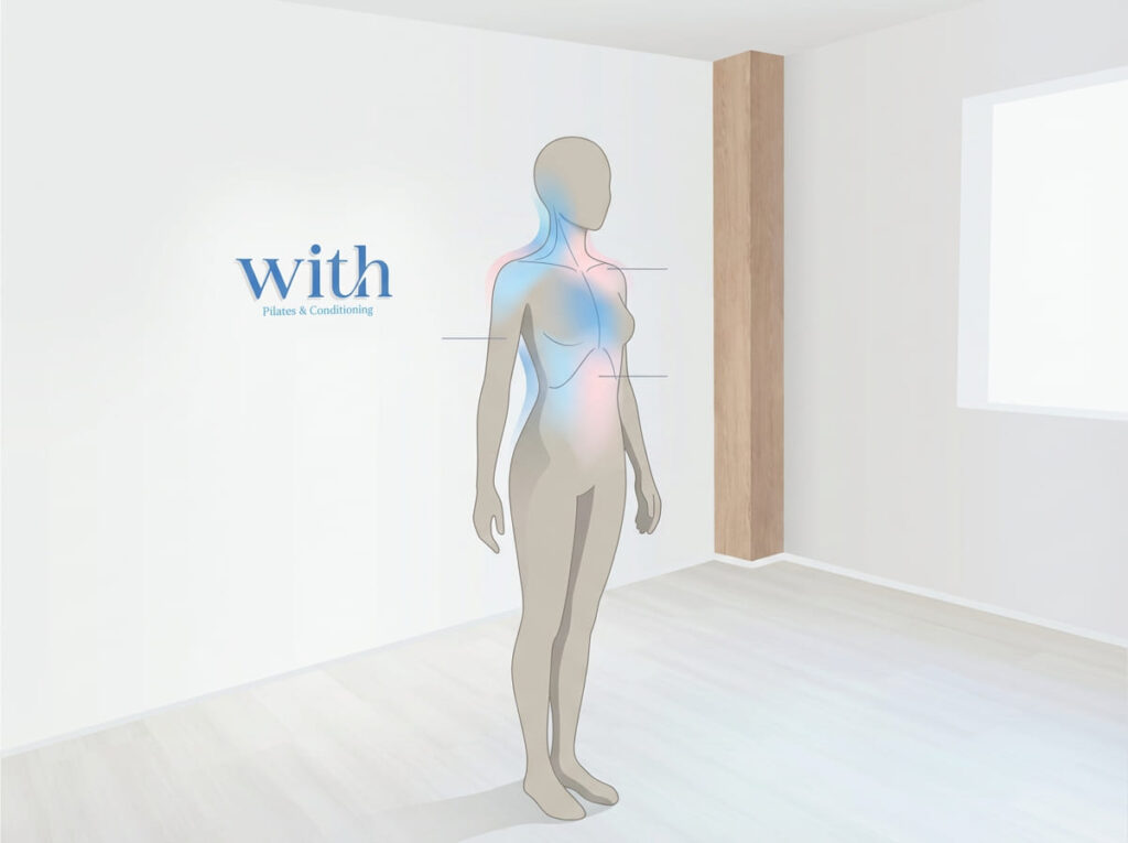 肩こりは肩だけでなく首や呼吸、姿勢など全身の影響を受けることを示すイメージ