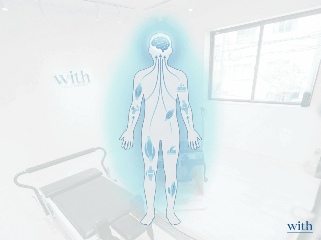 筋肉や関節、神経の情報が統合されて身体感覚が生まれる様子を示した図