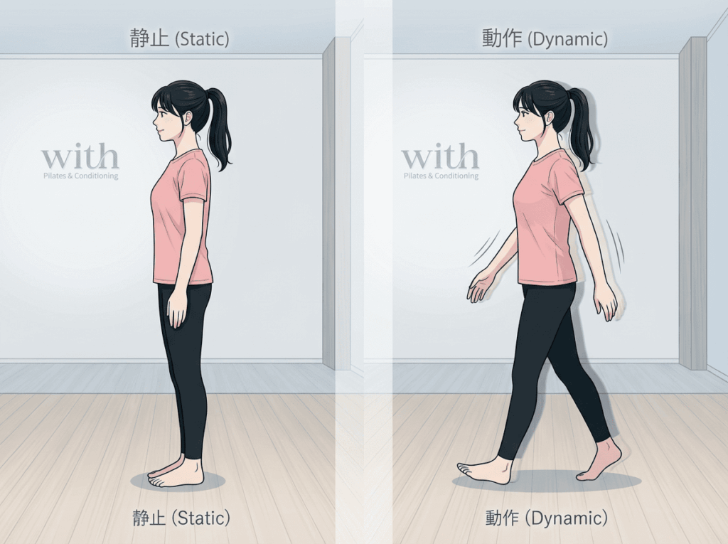 立っている姿勢と歩行動作で安定の見え方が変わることを示すイメージ