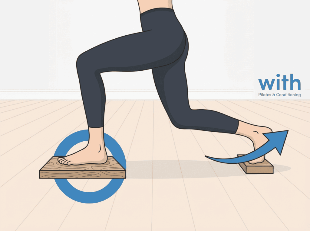 歩行中に左右の脚が異なる役割を担う可能性を示すイメージ