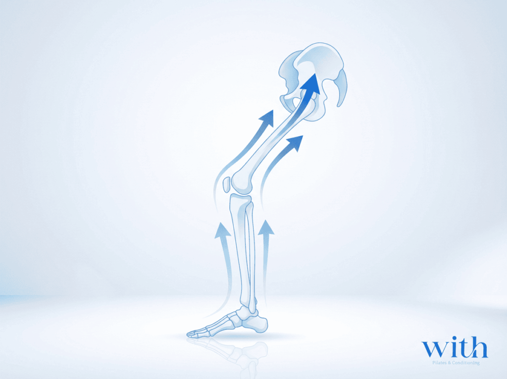 足首の状態が膝や股関節へ影響する関係を示した図