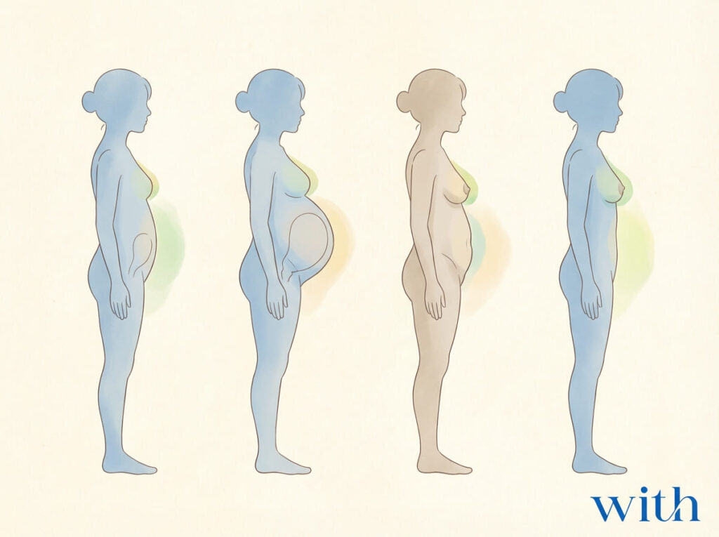妊娠期から産後にかけた身体変化を表すシンプルな図