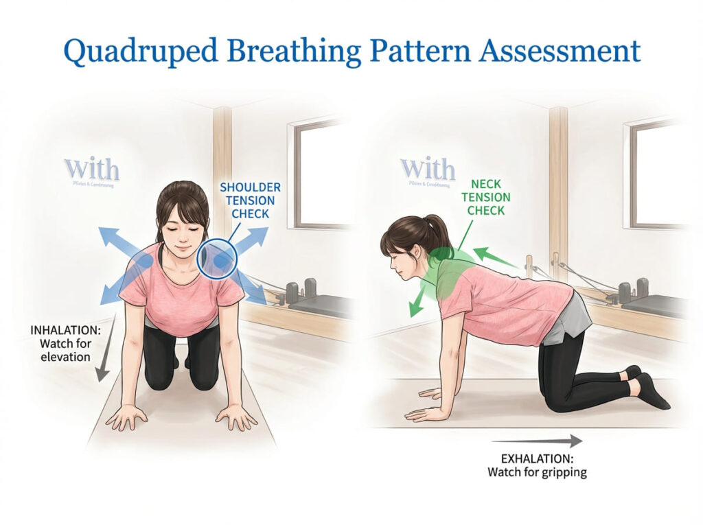 四つ這い姿勢での呼吸パターン確認図