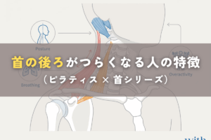 首の後ろが痛い原因を整理した総合解説｜僧帽筋・肩甲挙筋・後頭下筋の模式図