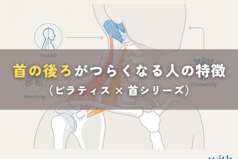 首の後ろが痛い原因を整理した総合解説｜僧帽筋・肩甲挙筋・後頭下筋の模式図