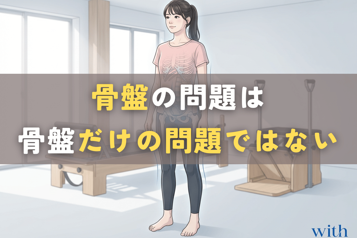 骨盤が身体全体の中でつながりとして機能していることを示すイメージ