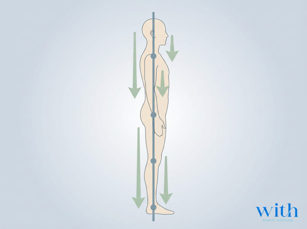 重心ラインと体幹の安定を示す姿勢の模式図
