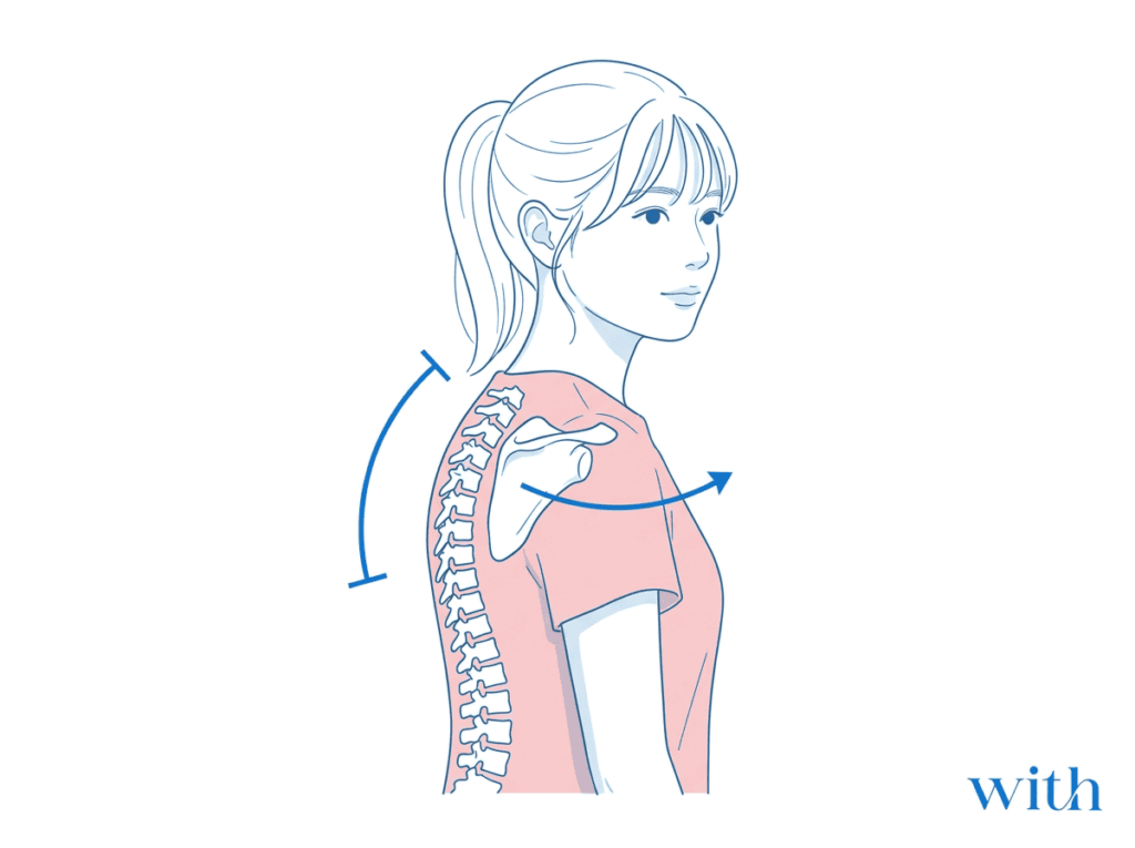 胸椎可動性低下と肩甲骨前方化の関係図