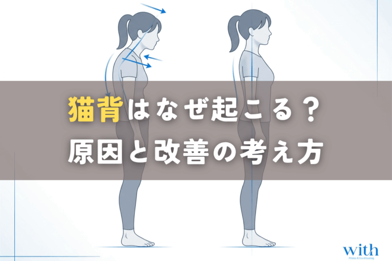 猫背姿勢と正常姿勢の比較図｜頭部前方位と胸椎後弯の違い